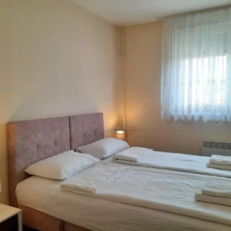 Apartman Centar Park *